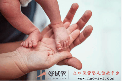 广东离医保报销试管婴儿费用有多远?省医保局回应(图1) 广东离医保报销试管婴儿费用有多远?省医保局回应(图1)