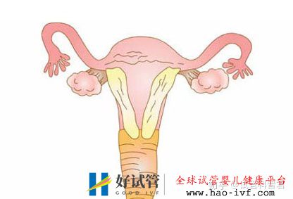 这四种男女,要尽早做试管婴儿,不然晚了后悔死(图3) 这四种男女,要尽早做试管婴儿,不然晚了后悔死(图3)