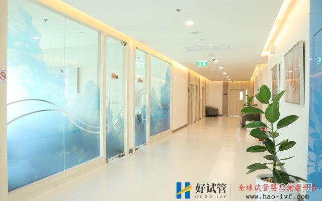 32岁做试管婴儿的成功率多少看我的试管经历就知道...(图2) 32岁做试管婴儿的成功率多少看我的试管经历就知道...(图2)