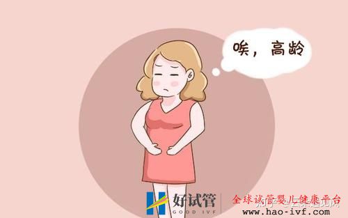 48岁高龄做第三代试管婴儿成功率是多少(图1) 48岁高龄做第三代试管婴儿成功率是多少(图1)