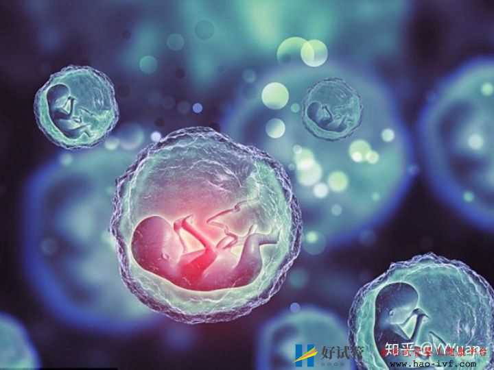 48岁还能做试管婴儿吗(图3) 48岁还能做试管婴儿吗(图3)