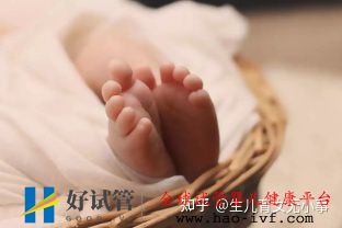 48岁高龄求子成功,背后到底有多难(图1) 48岁高龄求子成功,背后到底有多难(图1)