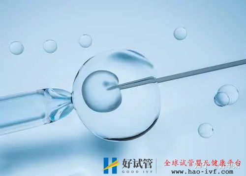 一次试管百万别逗了,这才是做试管的正常价格(图5) 一次试管百万别逗了,这才是做试管的正常价格(图5)