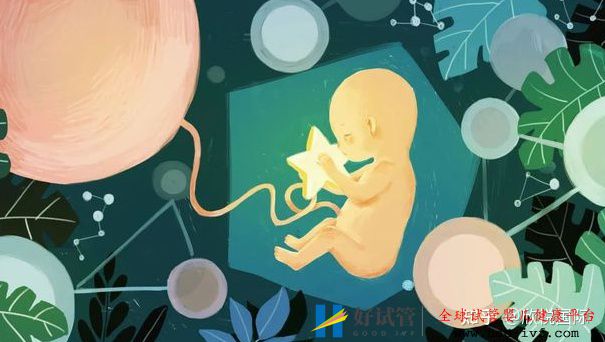 做试管婴儿能100%取得成功吗(图3) 做试管婴儿能100%取得成功吗(图3)