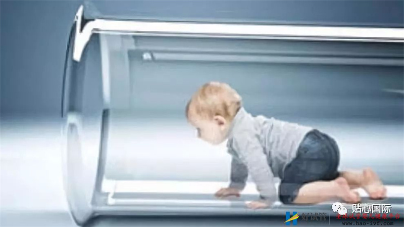 什么样的卵泡更能提高三代试管婴儿成功率(图2) 什么样的卵泡更能提高三代试管婴儿成功率(图2)