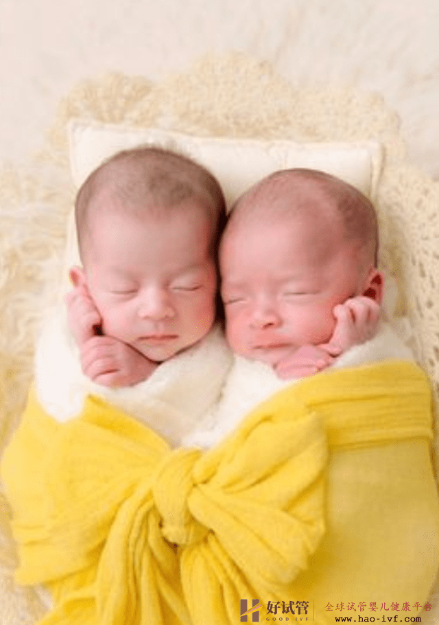 知名导演遗孀晒龙凤胎满月,丈夫骤逝不到一月,为生娃做10次试管(图1) 知名导演遗孀晒龙凤胎满月,丈夫骤逝不到一月,为生娃做10次试管(图1)