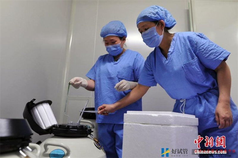 揭秘“试管婴儿”全过程放入液氮中冷冻(图)(图6) 揭秘“试管婴儿”全过程放入液氮中冷冻(图)(图6)