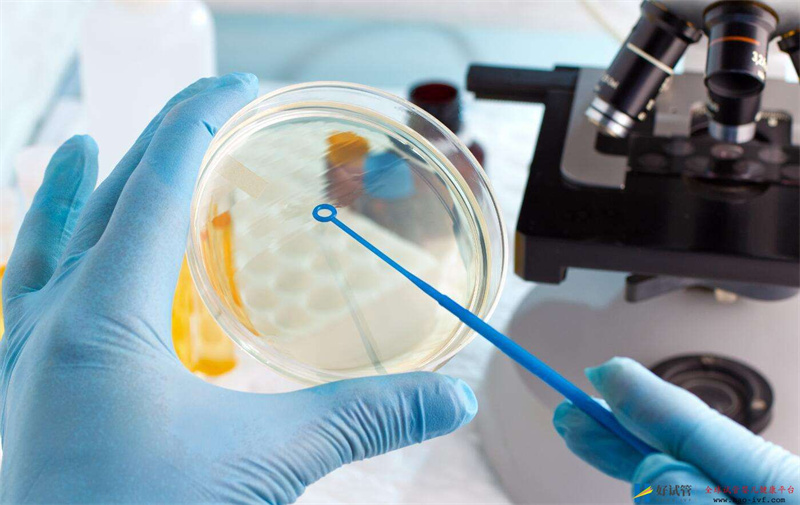 有人问:试管婴儿和正常婴儿,究竟有什么区别?别再去外面乱说了(图2) 有人问:试管婴儿和正常婴儿,究竟有什么区别?别再去外面乱说了(图2)