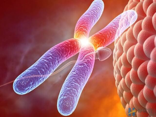 染色体单位mb和kb哪个更大一些?(图1) 染色体单位mb比kb大