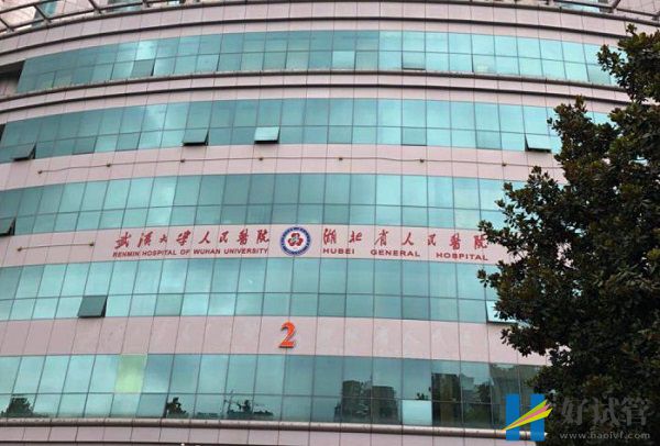 武汉大学人民医院试管婴儿费用明细表,预算3万也足够(图1) 湖北省人民医院