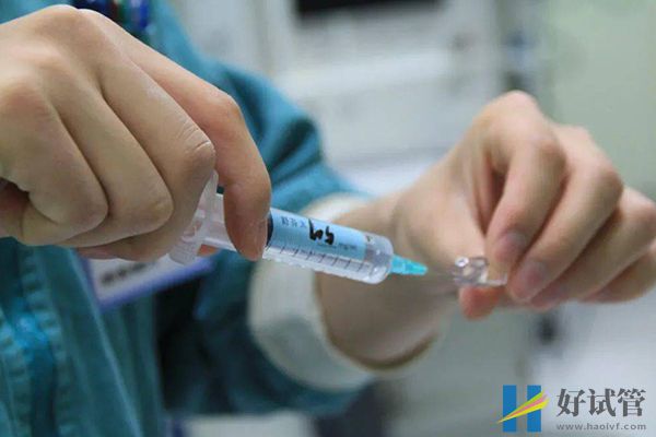 双胞胎和龙凤胎有三大区别,看血型和性别就能轻松分辨(图3) 双胞胎和龙凤胎有三大区别,看血型和性别就能轻松分辨(图3)