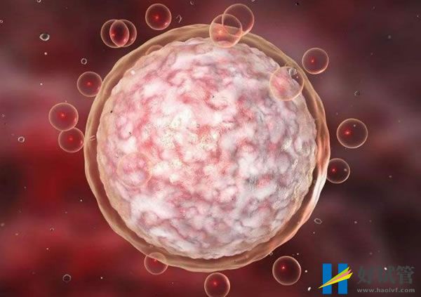 自贡做三代试管选择性别要儿子费用大约多少钱一次(图1) 28d26b6c82b8ce77f6402d93bba58eb5_36.jpg