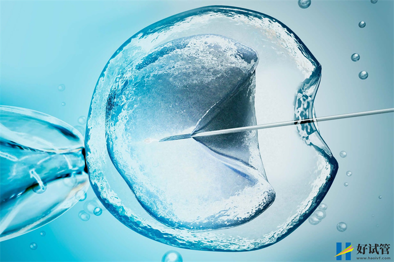 巴音郭楞大概需要多少钱做第三代试管婴儿,医院有哪些?(图1) 2-220125135S1606.jpg