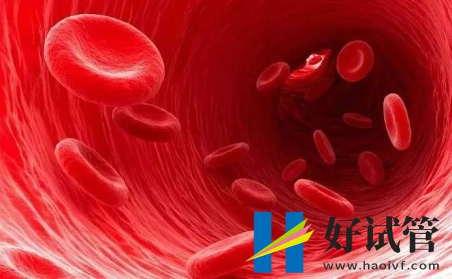 湘西第三代试管婴儿价格,多少钱?(图1) 抗血栓1.jpg