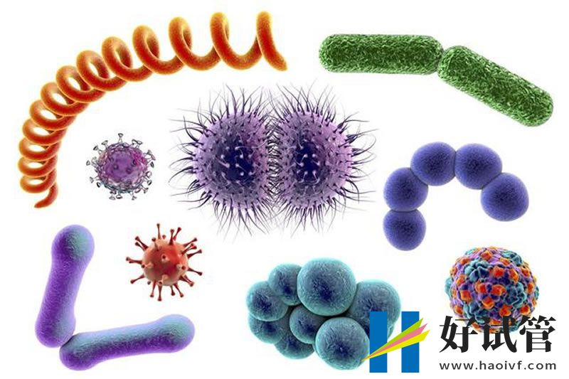 细菌能储存记忆并将其代代相传(图1) 222.jpg