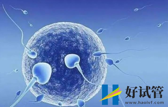 重庆市妇幼保健院助孕怎么样?(图1) sg (43).jpg