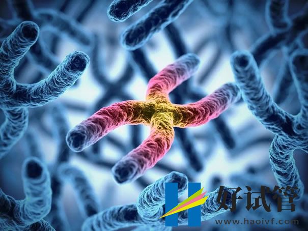 去香港做三代助孕花销至少,内含各项收费项目(图2) sg (76).jpg