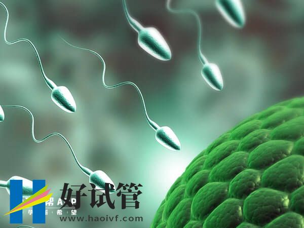 试管婴儿怎么才能选出优质精子?形态筛选不可少(图2) 做试管婴儿对精子的要求