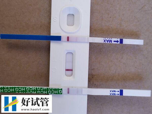 移植两个鲜胚的受孕率是多少?附提高着床率方法(图1) 移植两个胚胎需要什么条件