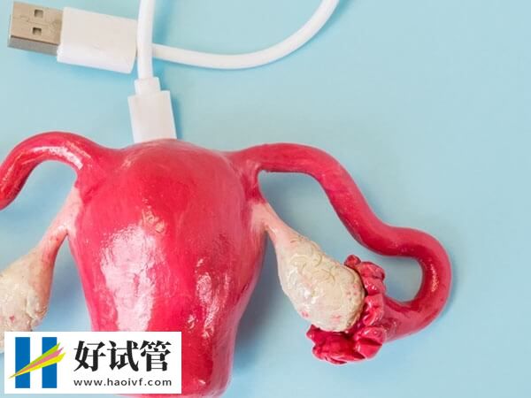 内分泌、年龄都会影响子宫内膜,想生育学会饮食调理很重要(图1) 内分泌对子宫内膜的影响