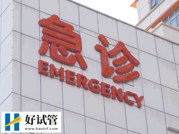 合肥901医院试管婴儿专家推荐,王雪梅医生口碑佳(图2) 决定试管成功率的因素