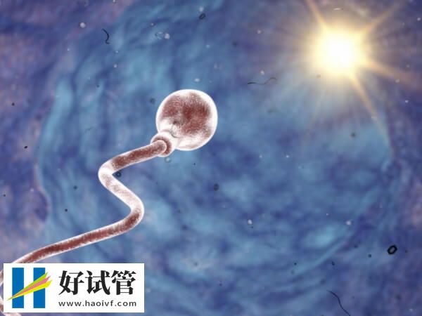 广东省妇幼供卵三代试管婴儿不便宜,没个十万不敢做(图1) 广东省妇幼可以申请供卵做试管婴儿