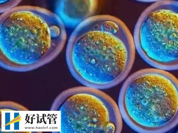 amh0.25还能不能怀孕(图2) amh0.25试管婴儿成功率低