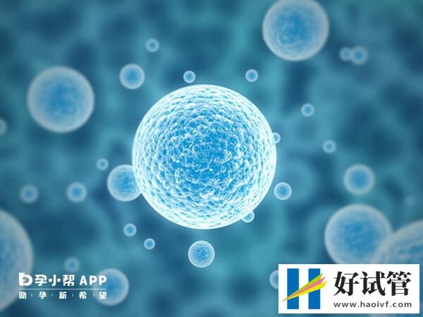 32岁基础卵泡多少正常(图1) 32岁基础卵泡3-10个较正常