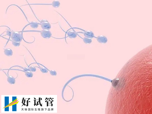 医院生殖科和产科医生哪个更谨慎(图1) 生殖科医生在处理不孕不育比妇产科谨慎