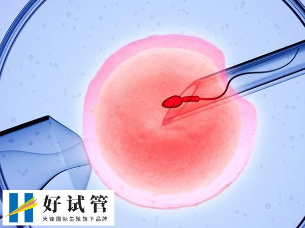 鲜胚移植第九天B超能否看出来(图1)