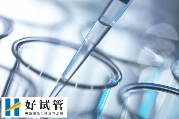 取卵前要进行阴道分泌物检查