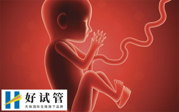 试管胚胎移植做二超能不能转产科(图1) 检查二超显示胎儿发育正常可以毕业