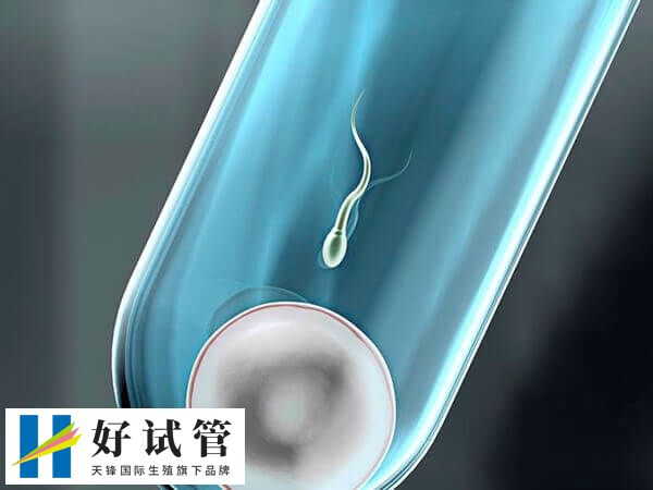 试管移植后第九天胚胎尚未发育到足够大小