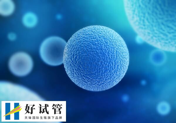 基础卵泡数量越多促排卵越多