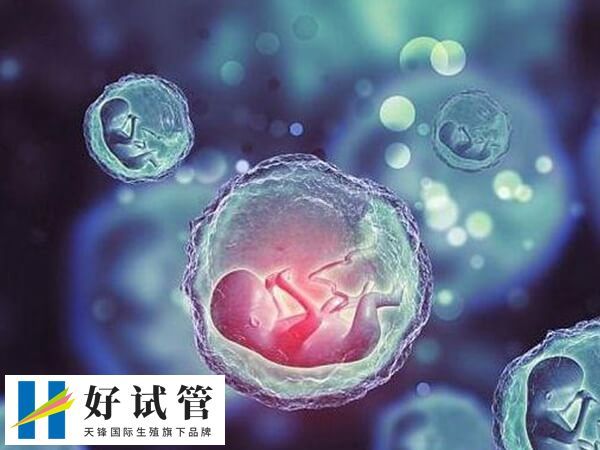 骨髓移植后做试管多少钱(图1) 骨髓移植后做试管婴儿因人而异