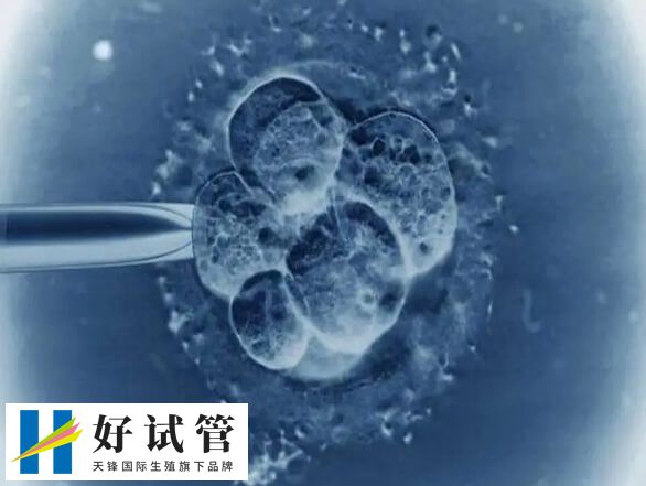 造成卵泡发育大小不均匀的因素有很多的