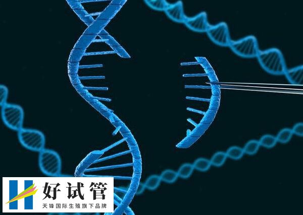 染色体是基因的载体