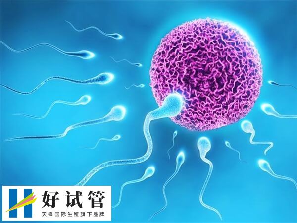 短方案通常从月经第2-3天开始