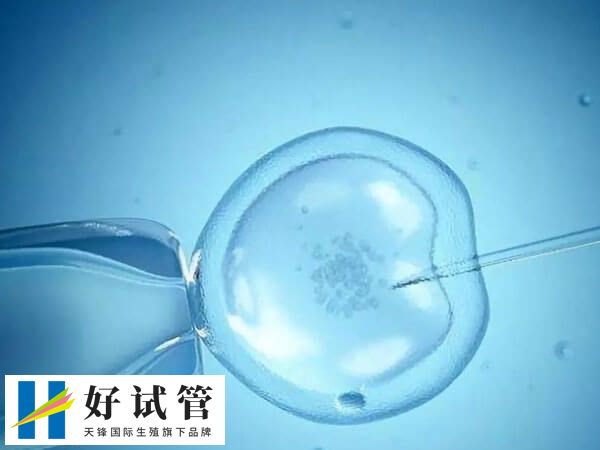 PGT-M主要用于检测胚胎是否存在单基因病