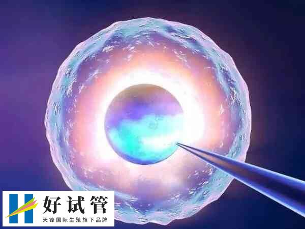 试管婴儿技术是一项现代医学技术