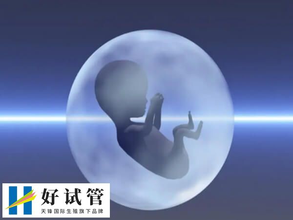 取卵后存在输卵管积水不适合鲜胚移植