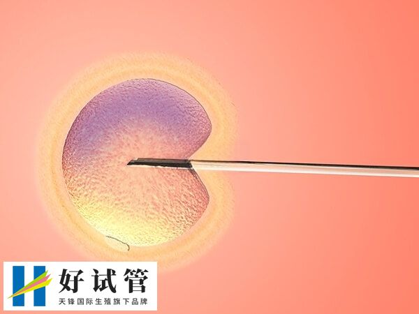 胚胎移植第15天出血但测出双杠是什么情况(图2) 胚胎移植第15天出血是能够保胎的