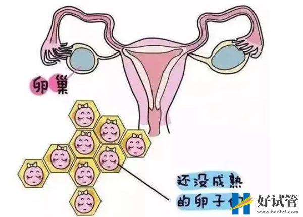 上海私立医院做试管婴儿靠谱吗？(图1)